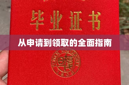 德兴从申请到领取的全面指南