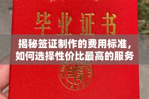 德兴揭秘签证制作的费用标准，如何选择性价比最高的服务？