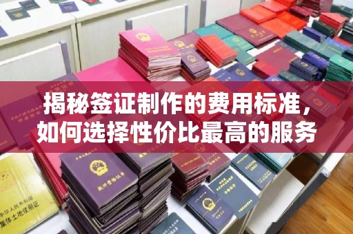 德兴揭秘签证制作的费用标准，如何选择性价比最高的服务？