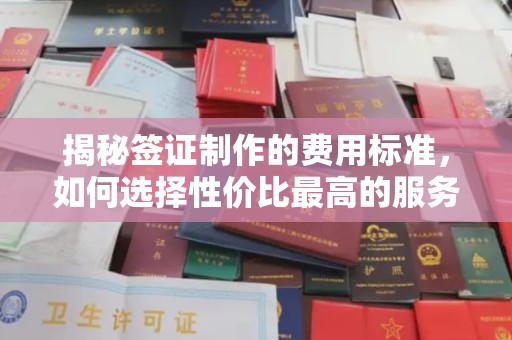 德兴揭秘签证制作的费用标准，如何选择性价比最高的服务？